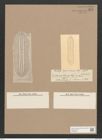 Navicula grunowii Rbh. (de-Toni-Nr.: Genus 1, Species 242) Zeichnungen Sammlung Grunow Nr. 575 (NHMW-BOT-W0366932)
